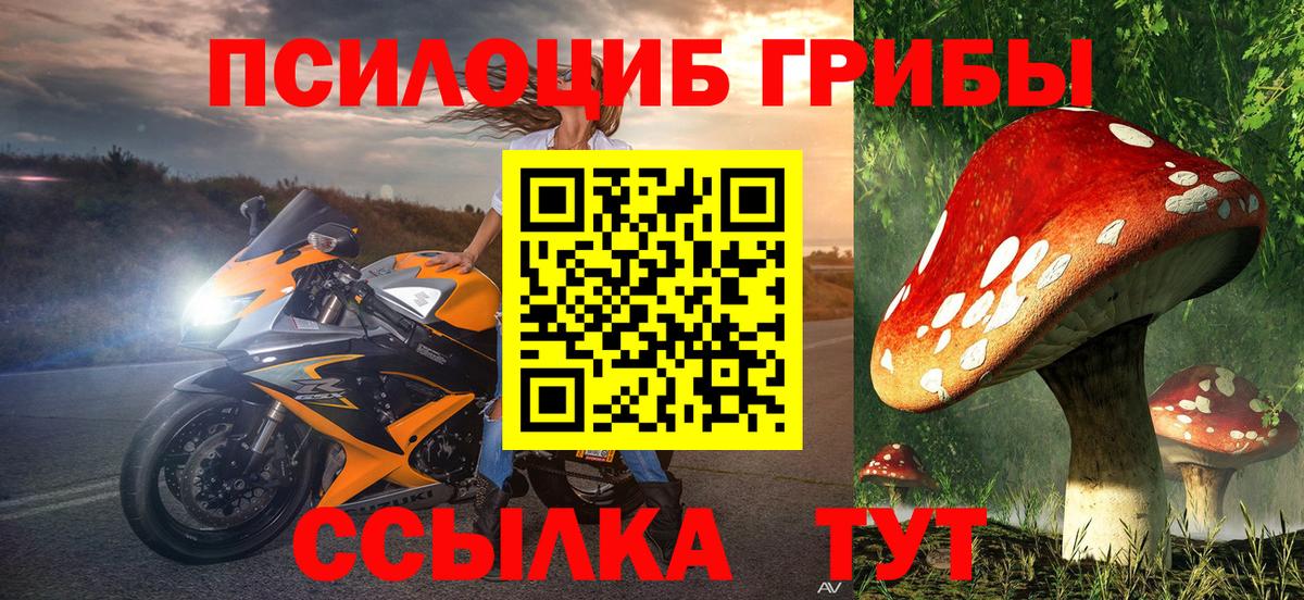 Галлюциногенные грибы мицелий Зеленогорск