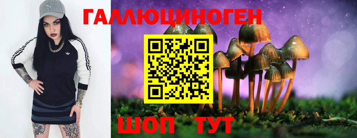 Зеленогорск  Галлюциногенные грибы MAGIC MUSHROOMS  Вход с VPN 
